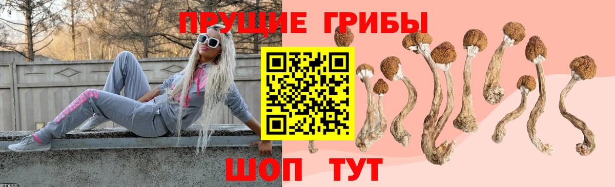Псилоцибиновые грибы GOLDEN TEACHER  Вход с VPN  Новороссийск 